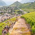 Balade des Grands Murs